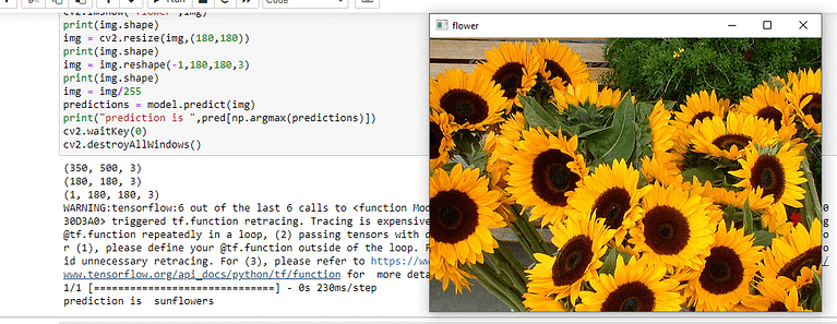 Classifying the type of Flowers result