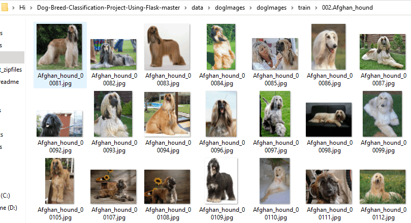 dog breed file photo