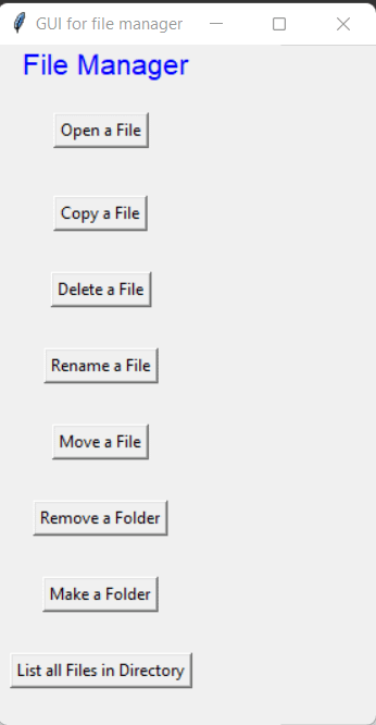 File Manager using Python result